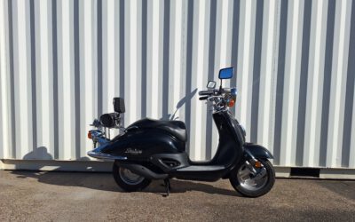 Honda Shadow 50 Roller mit 50kmh Zulassung !!NUR 9tkm!! 2-Takt